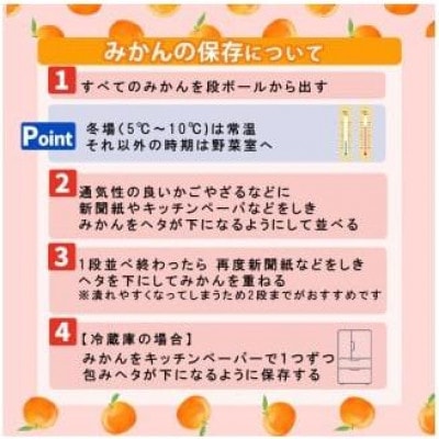 愛果48号 約2kg【訳あり】( 紅プリンセス と同品種 )