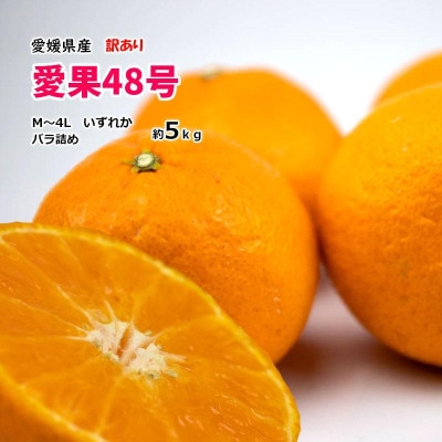 愛果48号 約5kg【訳あり】( 紅プリンセス と同品種 )