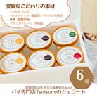ジェラート6個セット