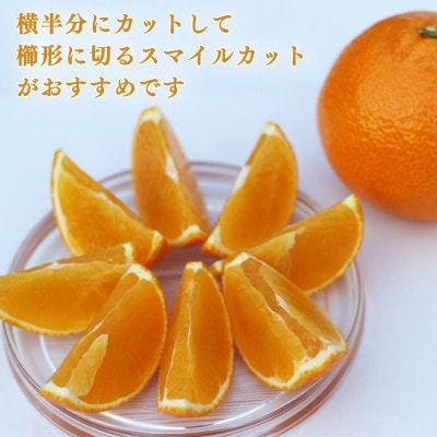 【 先行予約 】【訳あり】農家直送 名前だけが訳あり あいか 約5kg