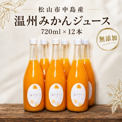 温州みかんジュース 720ml ×12本 果汁100%ストレートジュース