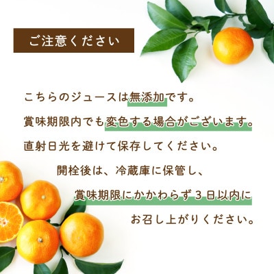 温州みかんジュース 720ml × 12本 果汁100% 無添加 ストレートジュース
