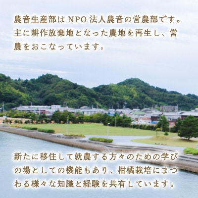 温州みかんジュース 720ml × 12本 果汁100% 無添加 ストレートジュース