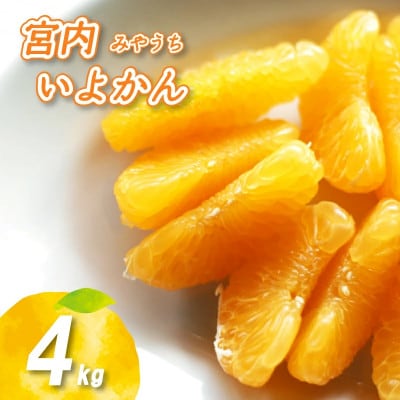 【1-3月下旬発送予定】 宮内いよかん 4kg