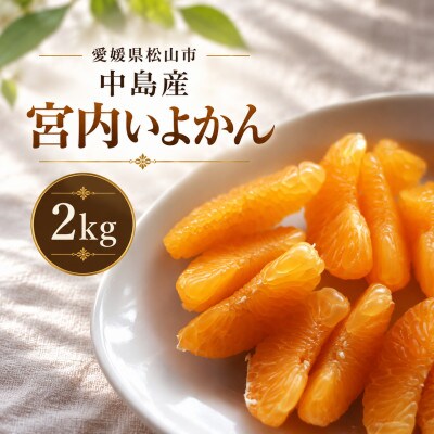 【1-3月下旬発送予定】 宮内いよかん 2kg