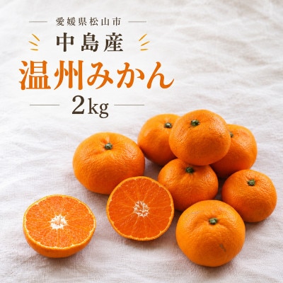 【11月から順次発送予定】 温州みかん 2kg