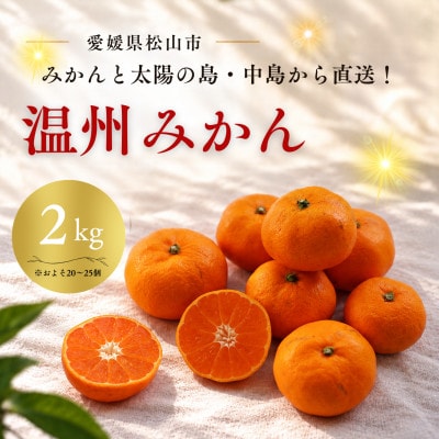 【11月から順次発送予定】 温州みかん 2kg