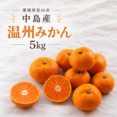 【11月から順次発送予定】温州みかん 5kg