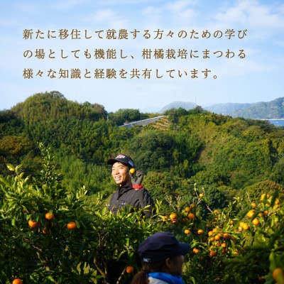 【11月から順次発送予定】 温州みかん 10kg