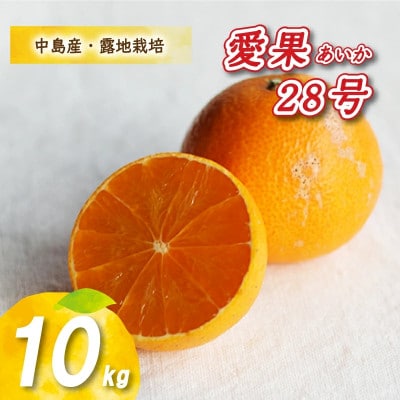 【12月から順次発送予定】 愛果28号 10kg あいか