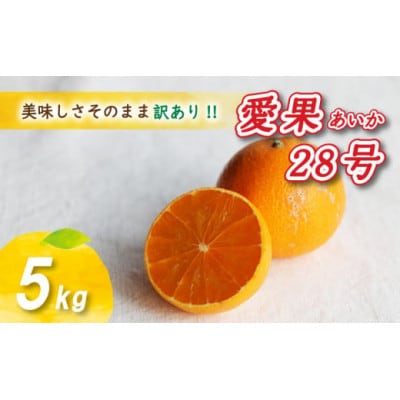 【12月から順次発送予定】 訳あり 愛果28号 5kg あいか