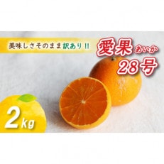 【12月から順次発送予定】 訳あり 愛果28号 2kg あいか