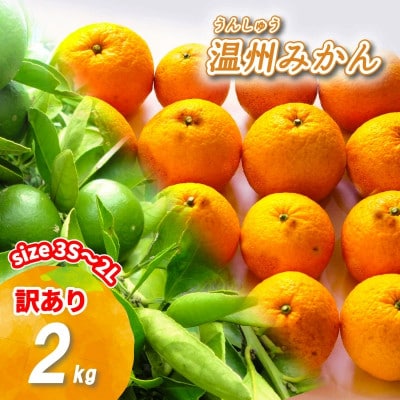 【11月から順次発送予定】訳あり 温州みかん 2kg