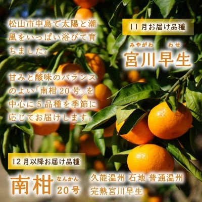 訳あり 温州みかん 5kg