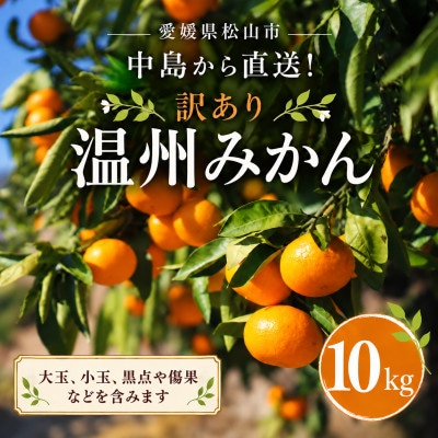 【11月から順次発送予定】訳あり 温州みかん 10kg
