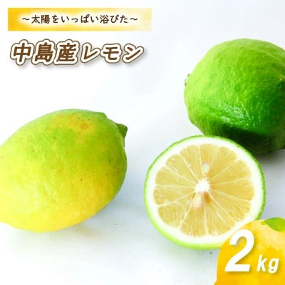 【10月から順次発送】 レモン 2kg (14～18玉)