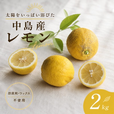【10月下旬から順次発送】 レモン 2kg (14～18玉)