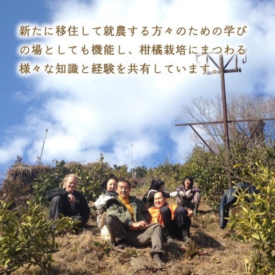 【10月から順次発送】 レモン 2kg (14～18玉)
