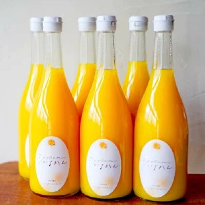 【予約受付】いよかんストレート果汁100%ジュース 720ml × 12本