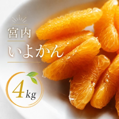 【1-3月下旬発送予定】 宮内いよかん 4kg