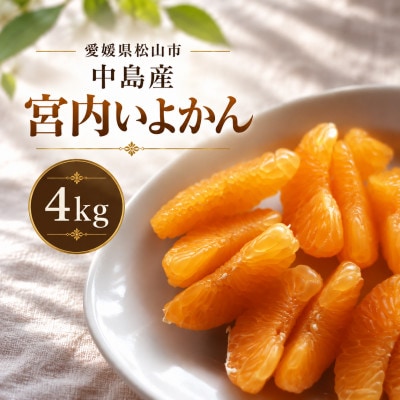 【1-3月下旬発送予定】 宮内いよかん 4kg