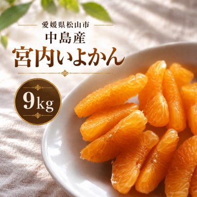 【1-3月下旬発送予定】 宮内いよかん 9kg