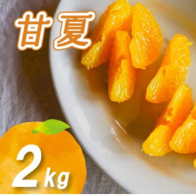 【2026年2月下旬より発送】栽培期間中農薬不使用 甘夏 2kg
