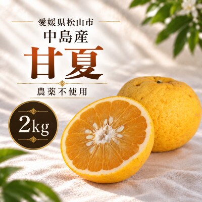 【2026年2月下旬より発送】栽培期間中農薬不使用 甘夏 2kg