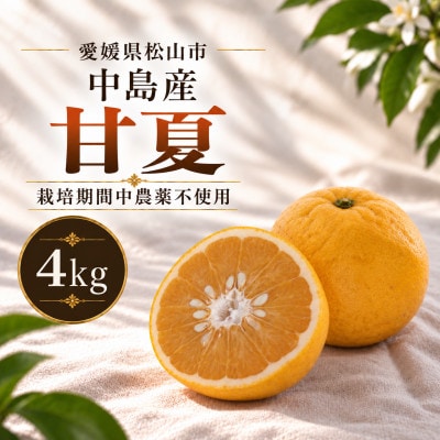 栽培期間中農薬不使用 甘夏 4kg