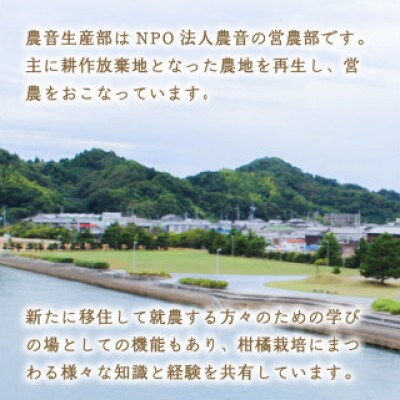 【2026年2月下旬より発送】栽培期間中農薬不使用 甘夏 4kg
