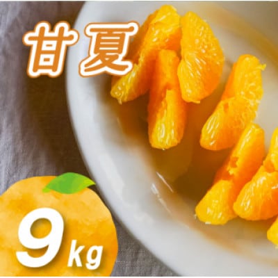 【2026年2月下旬より発送】栽培期間中農薬不使用 甘夏 9kg