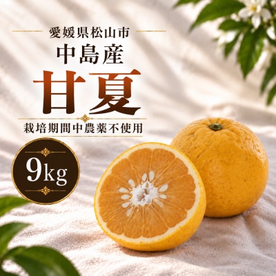 栽培期間中農薬不使用 甘夏 9kg