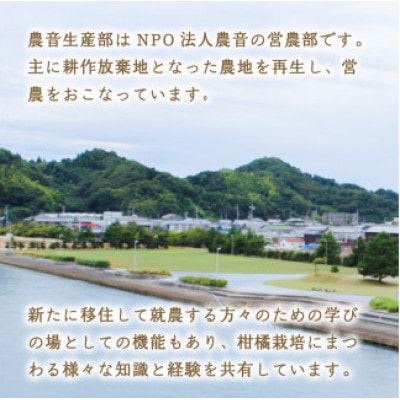 【2026年2月下旬より発送】栽培期間中農薬不使用 甘夏 9kg