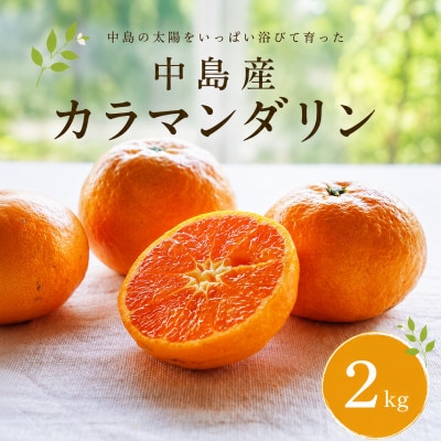 カラマンダリン2kg