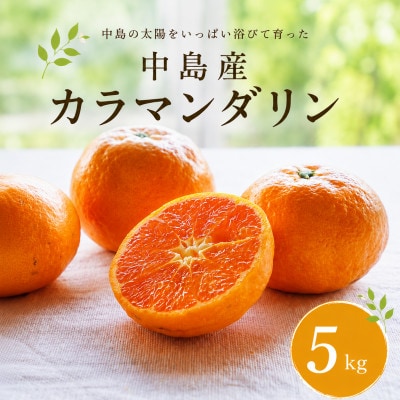 カラマンダリン5kg