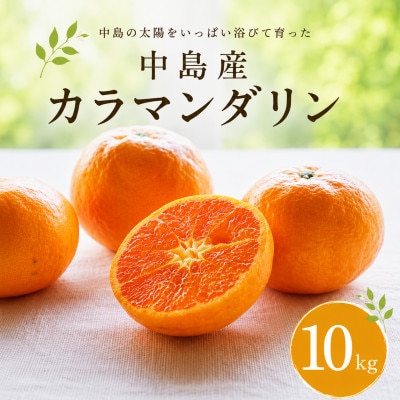カラマンダリン10kg
