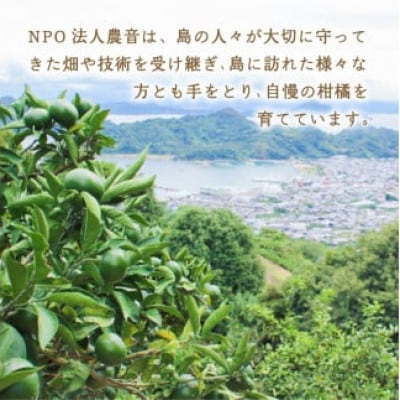 カラマンダリン10kg