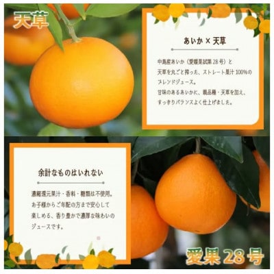 あいか & 天草 ブレンド ストレート果汁100% ジュース 720ml×6本