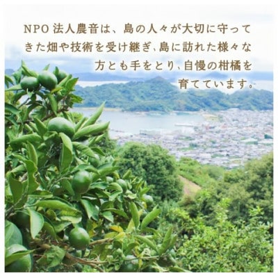 あいか & 天草 ブレンド ストレート果汁100% ジュース 720ml×6本