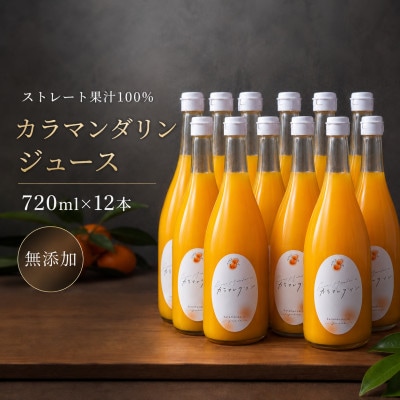 【中島産】カラマンダリン　ストレート果汁100%ジュース　720ml×12本
