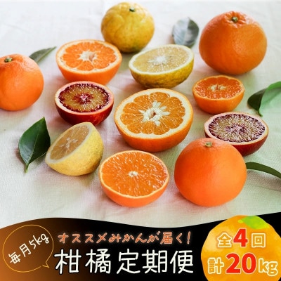 【発送月固定定期便】【12月から発送】柑橘 5kg × 4回 計20kg 品種おまかせ全4回