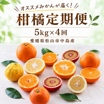 【発送月固定定期便】【12月から発送】柑橘 5kg × 4回 計20kg 品種おまかせ全4回