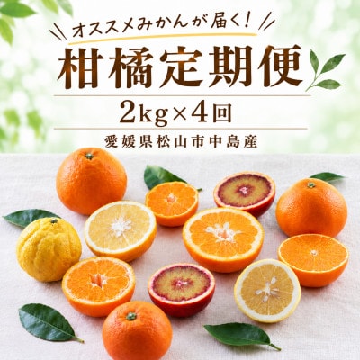 【発送月固定定期便】【12月から発送】柑橘 2kg × 4回 計8kg 品種おまかせ全4回