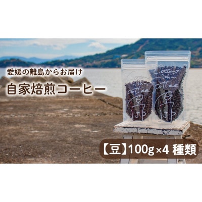 【豆】コーヒー 400g おまかせ 自家焙煎 100g×4種類