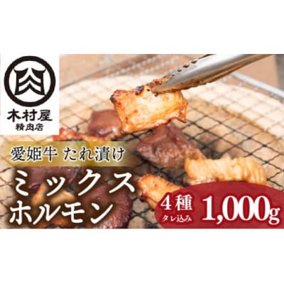 愛姫牛の極旨!タレ漬けミックスホルモンセット(1kg)|愛媛ブランド牛