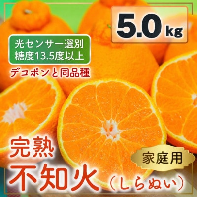 家庭用 不知火 5kg 光センサー選別 糖度13.5度以上 2027年2月以降順次発送