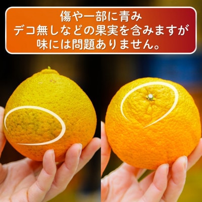 家庭用 不知火 5kg 光センサー選別 糖度13.5度以上 2027年2月以降順次発送