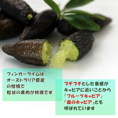 中島みかん農園　フィンガーライム 50g