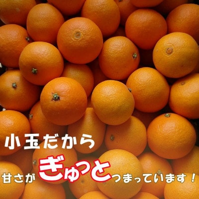 中島みかん農園 愛果28号 小玉 2kg