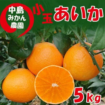中島みかん農園 愛果28号 小玉 5kg
